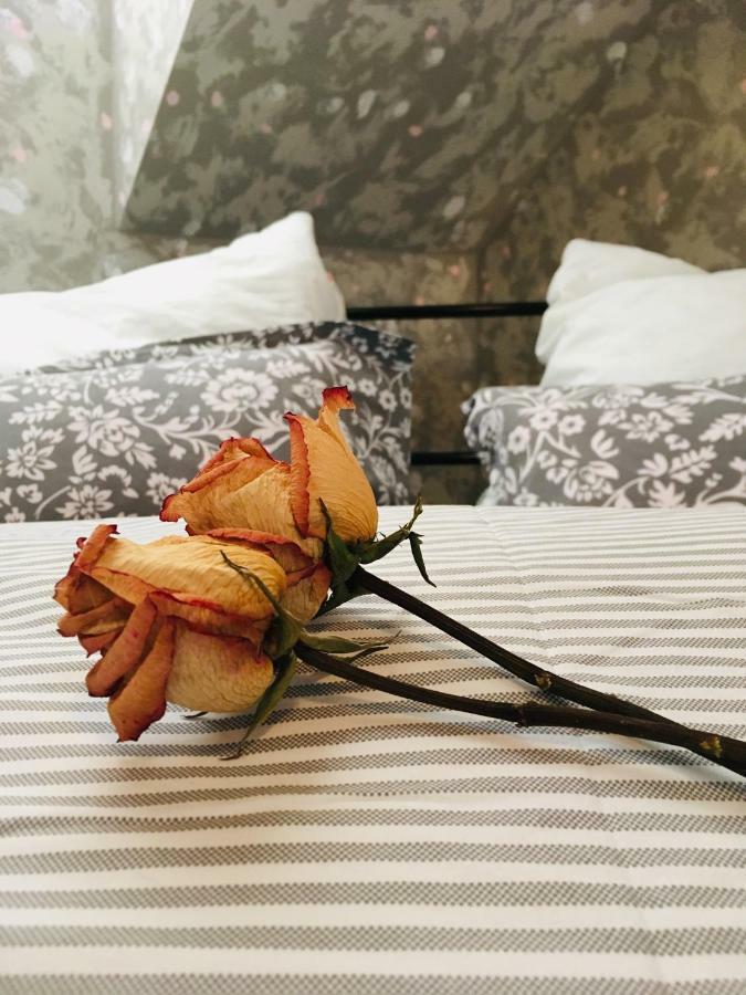 Apartman U Zamecke Dyje เลดนิตเซ ภายนอก รูปภาพ